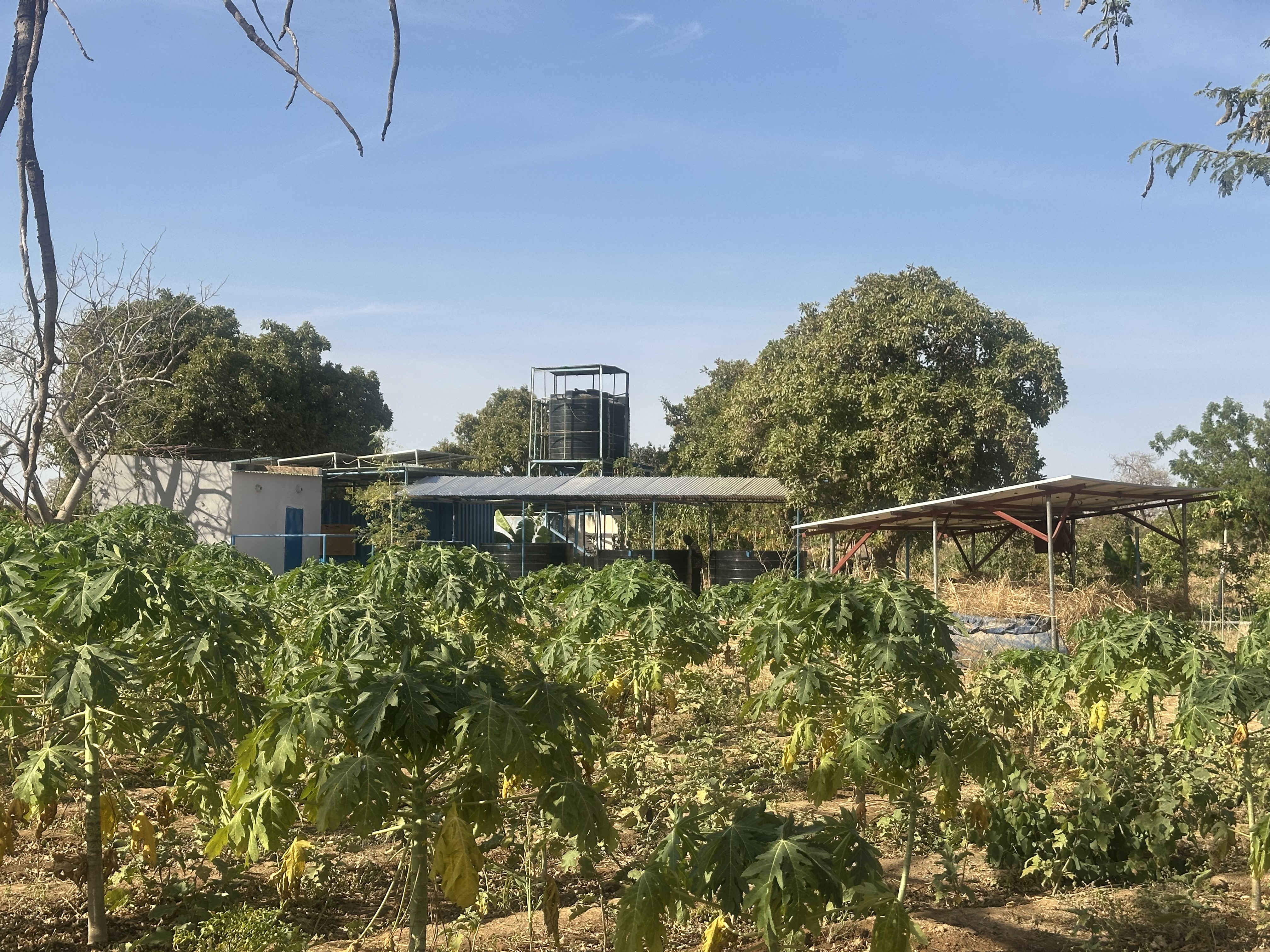 Farmen i Nakamtenga, Burkina Faso
